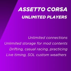 assetto corsa server